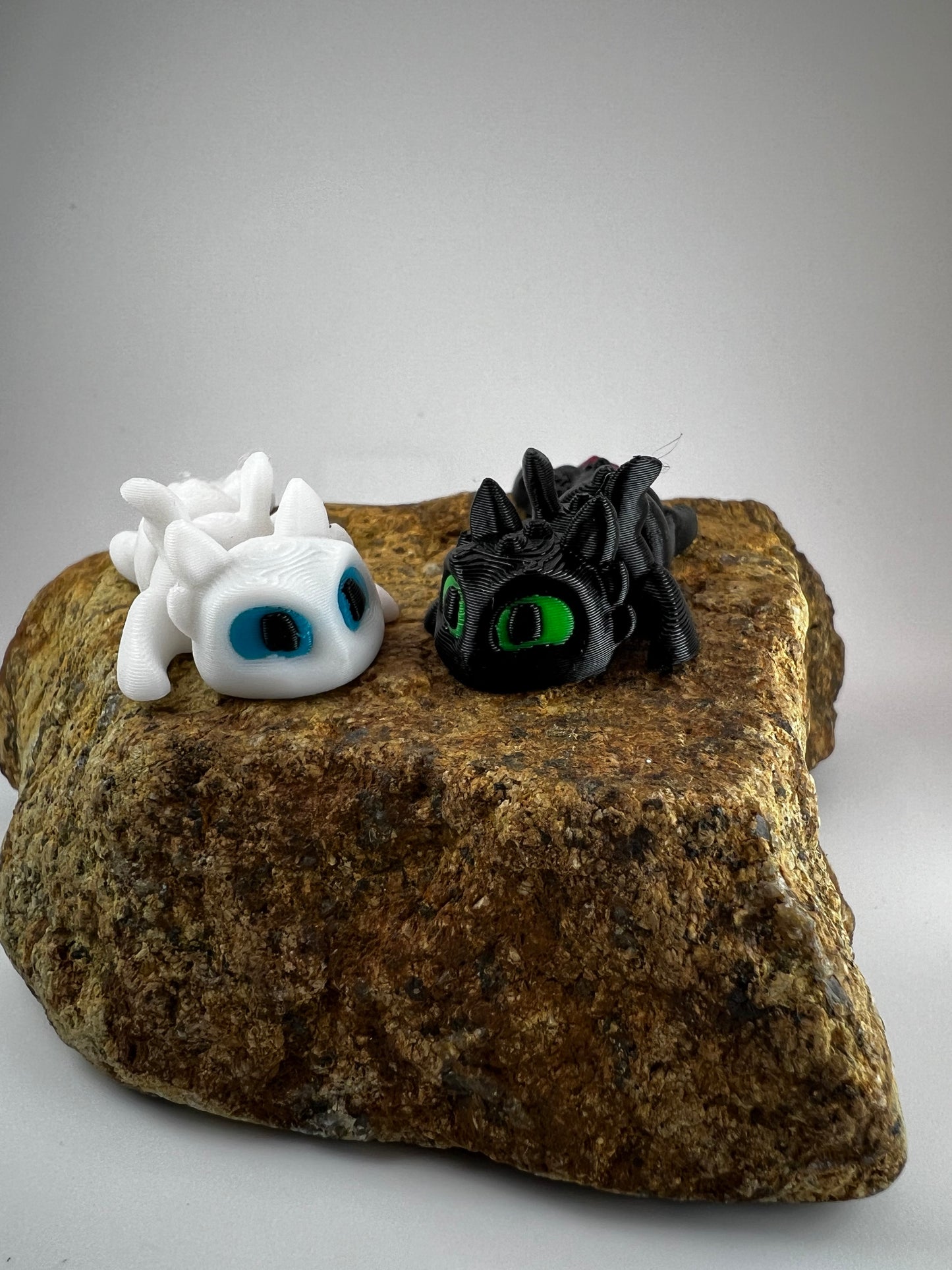 Mini Toothless & Light Fury
